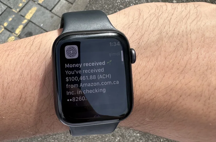 Amazon Kanada'dan gelen ödeme bildirimi: 100.461,88 dolar